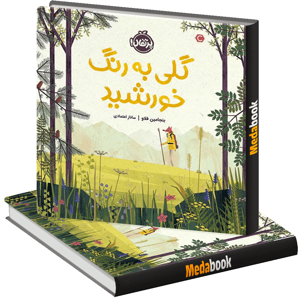 گلی به رنگ خورشید پرتقال گلی به رنگ خورشید پرتقال