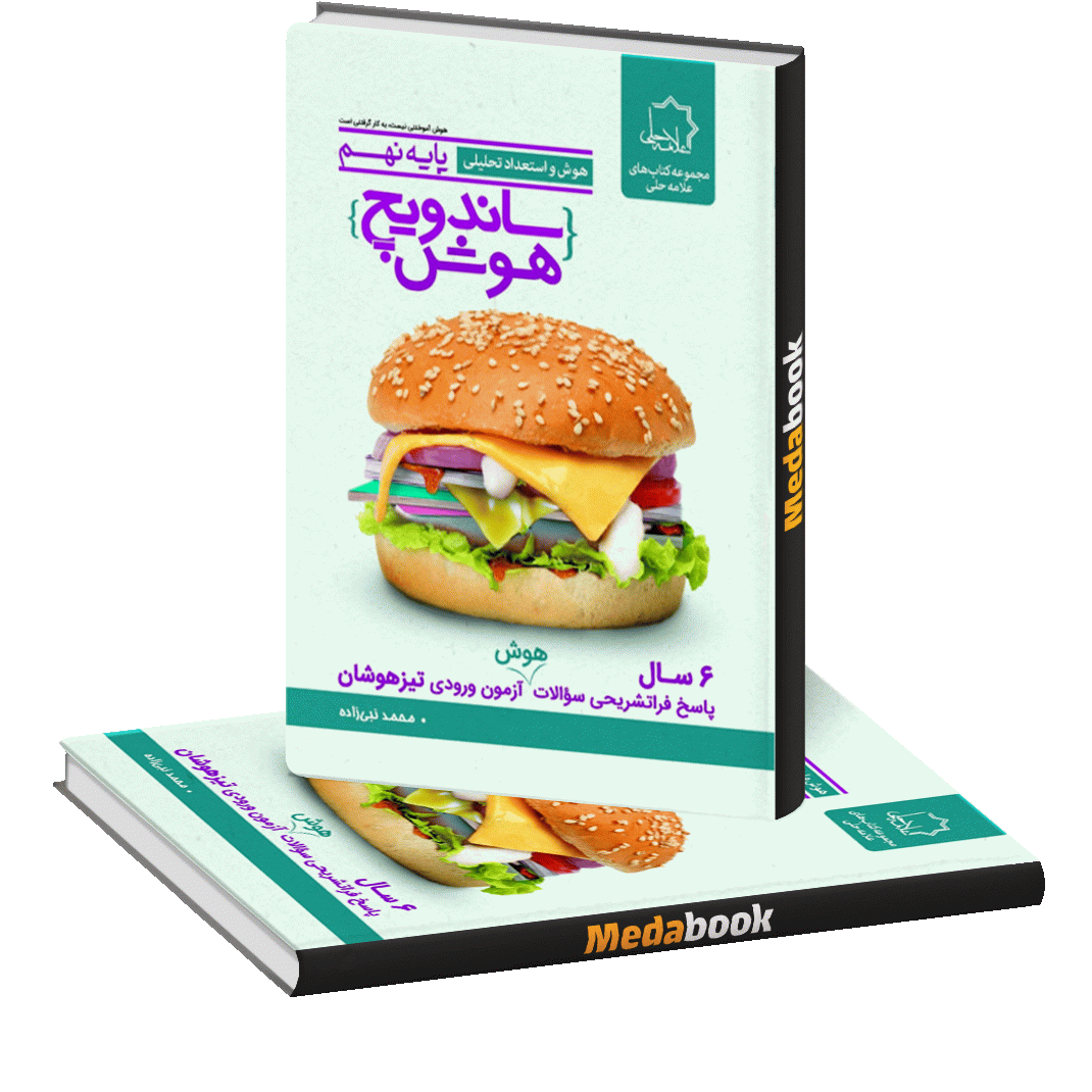 ساندویچ هوش نهم علامه حلی ساندویچ هوش نهم علامه حلی