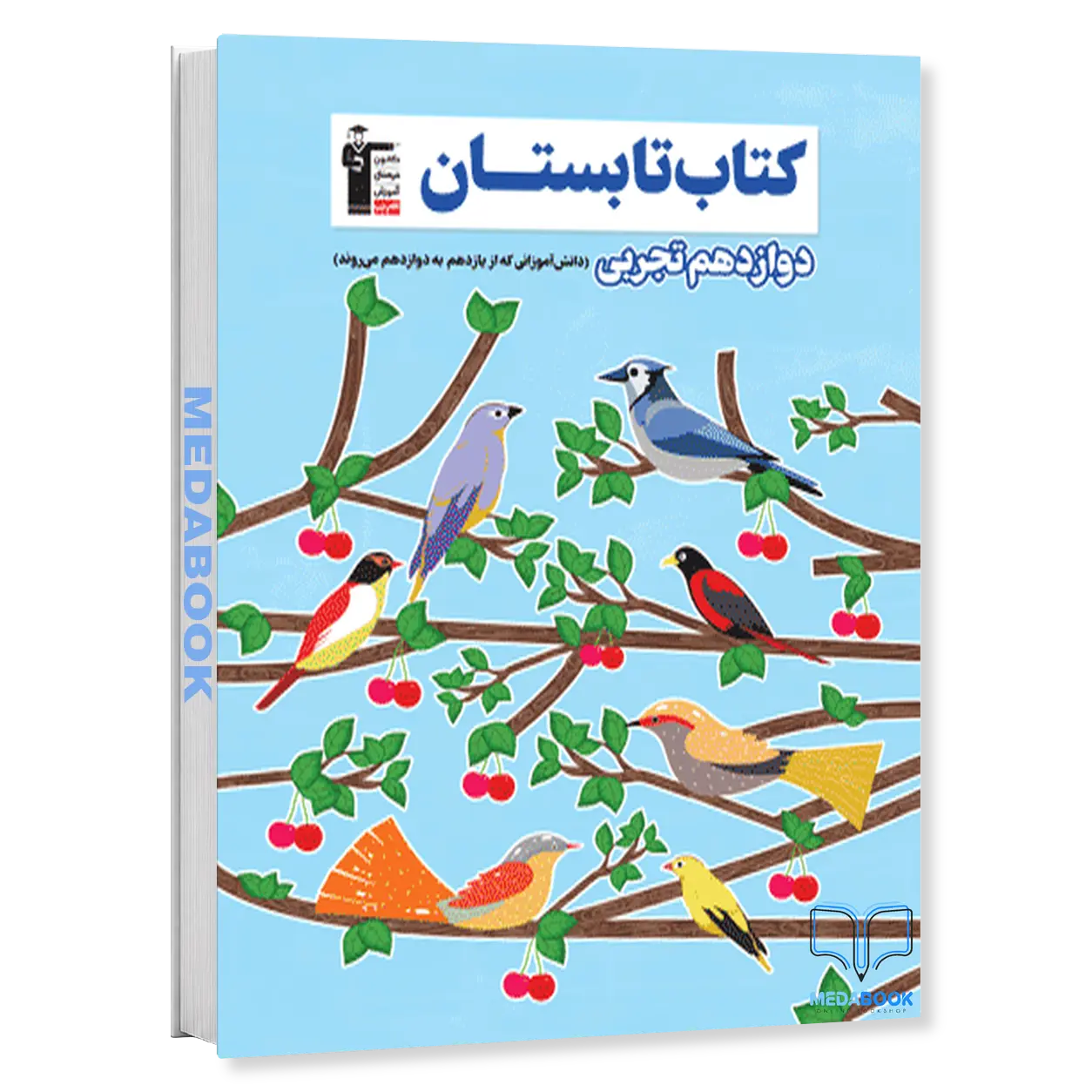 تابستان-دوازدهم-تجربی-قلم-چی.webp تابستان دوازدهم تجربی قلم چی - تصویر 1