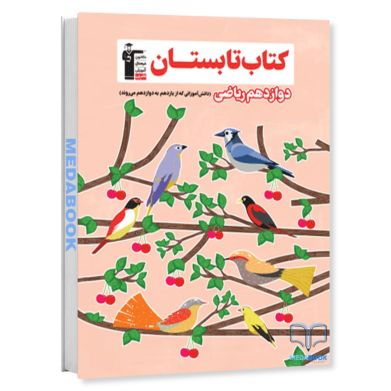 تابستان-دوازدهم-ریاضی-قلم-چی.webp تابستان دوازدهم ریاضی قلم چی - تصویر 1