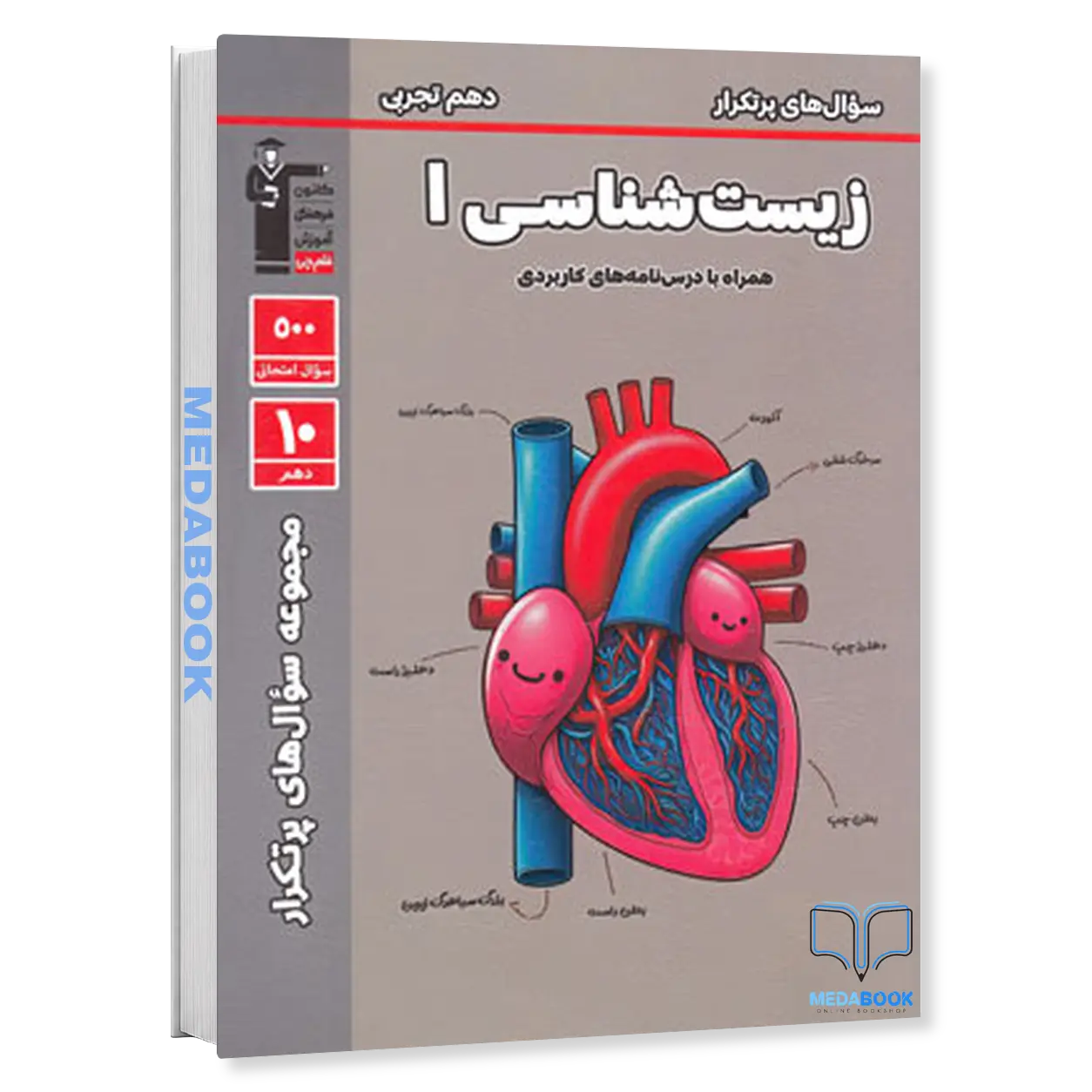 پرتکرار-زیست-دهم-قلم-چی.webp پرتکرار زیست دهم قلم چی - تصویر 1