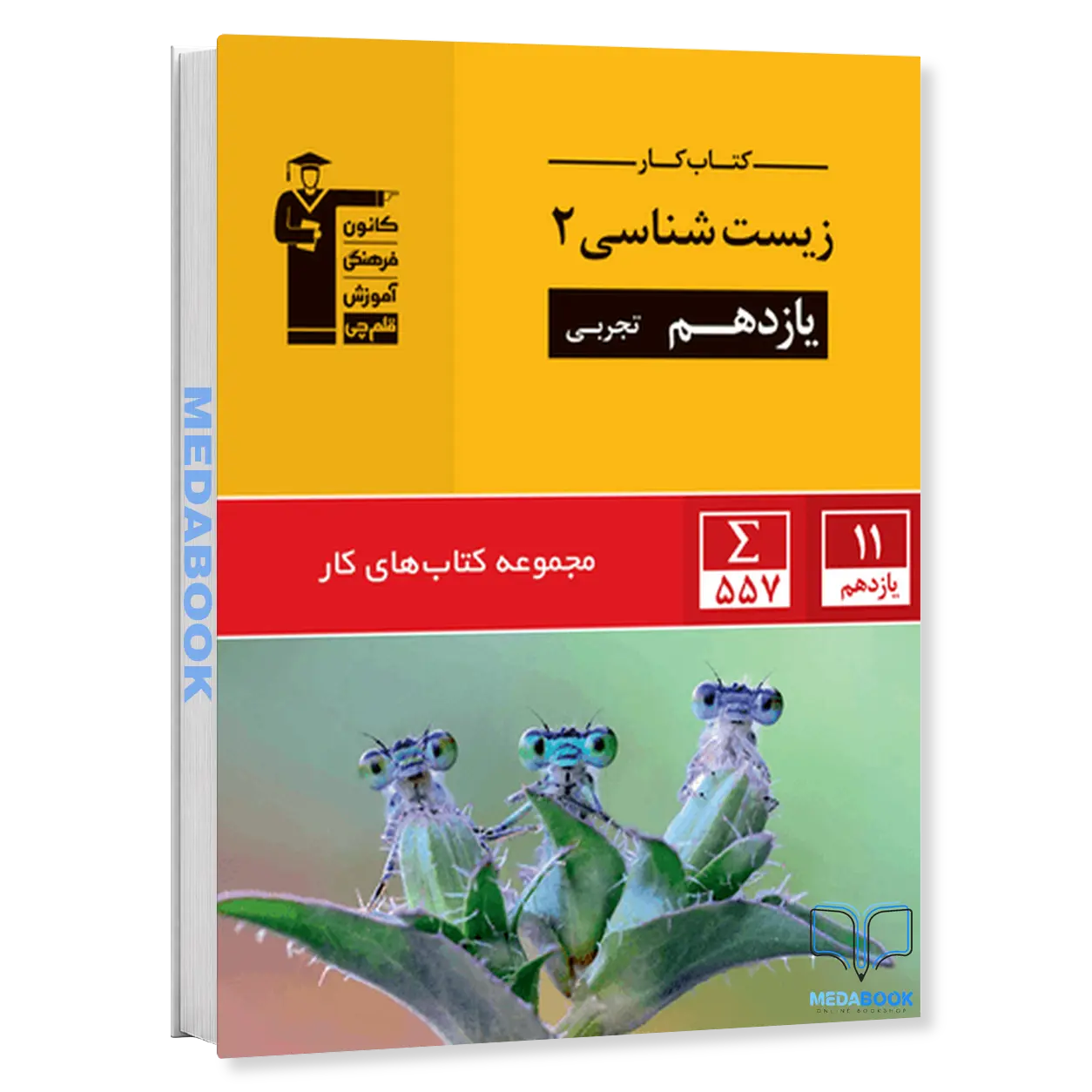 کتاب-کار-زیست-یازدهم-قلم-چی.webp کتاب کار زیست یازدهم قلم چی - تصویر 1