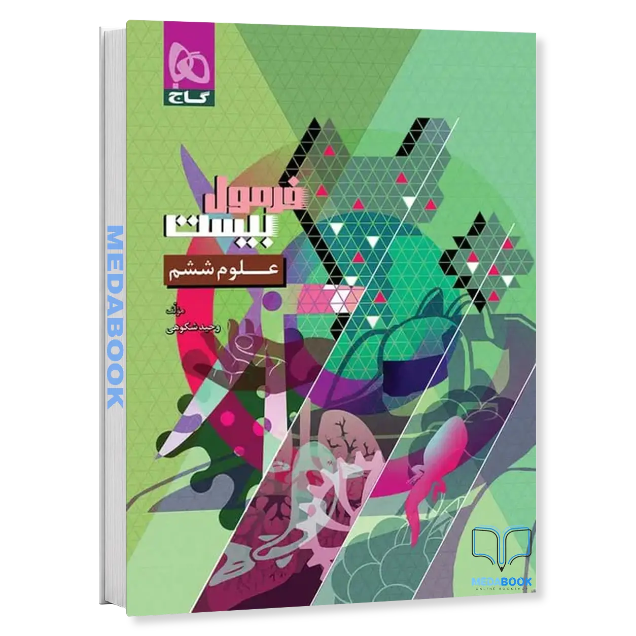 علوم-ششم-فرمول-بیست-گاج.webp علوم ششم فرمول بیست گاج - تصویر 1